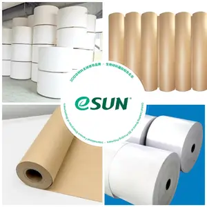 Wholesale Price PE/PLA Coated Paper Rolls For Making Paper Cups