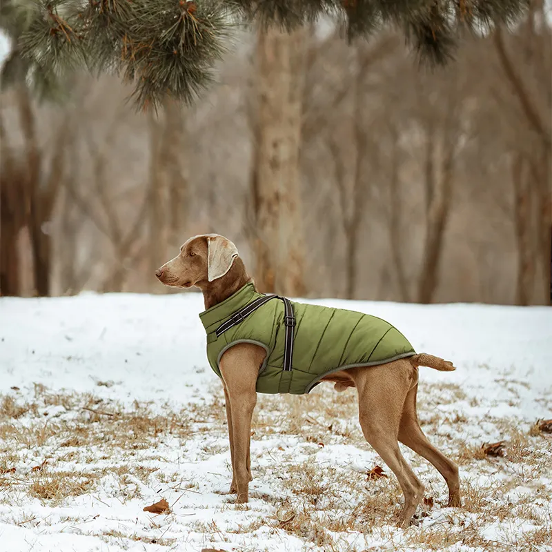 Cappotto cane di design riflettente adatto per piccoli e grandi cappotti e giacche per cani da compagnia produttore di cappotti per cani