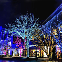 Guirlande lumineuse LED à piles pour jardin, style arbre, pour décorations de fêtes, mariages, Noël, intérieur/extérieur, lumières féériques étanches