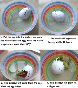 Giocattoli creativi da cova dell'uovo di dinosauro dei bambini per i bambini imparano il tratteggio di espansione dell'acqua divertente magico del giocattolo educativo di crescita animale - Product Image 2