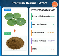 Poudre de feuille de lotus en gros, extrait végétal de qualité alimentaire, alcaloïde de feuille de lotus 2%, poudre d'extrait de feuille de lotus