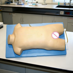 รูปแบบการฝึกอบรมการเจาะเส้นเลือดดำและเส้นเลือดโคนขาในเด็กค้นหาเส้นเลือดดำสำหรับการเจาะเลือด - Product Image 3