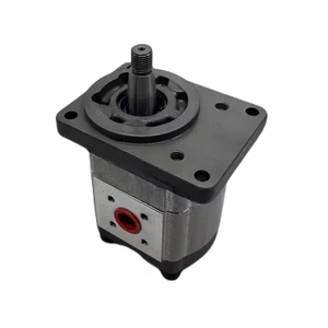 Bomba de Engranajes Hidráulica Serie AZPF AZPN AZPB AZPS AZPG AZPGF, Bomba de Engranajes Hidráulica AZPF-11-011-RRR20KB-S0023-RE, AZPF AZPN AZPB AZPS A - Product Image 1