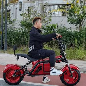 Eec scooter elétrico, placa de licença coc eec 2000w scooter elétrico 2 rodas pneu gordo removível bateria dupla