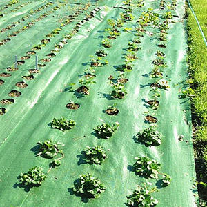 Bán hàng nóng PP dệt Weed mat với lỗ che phủ mặt đất vải cỏ dại màng vườn che phủ mặt đất mulch Weed dừng tấm 1m 2m - Product Image 4