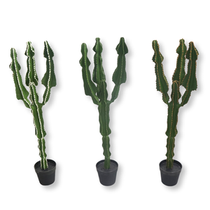 Materiale artificiale <span class=keywords><strong>cactus</strong></span> ed erba PU durevole realistico arredamento per la casa al coperto all'ingrosso - Product Image 1