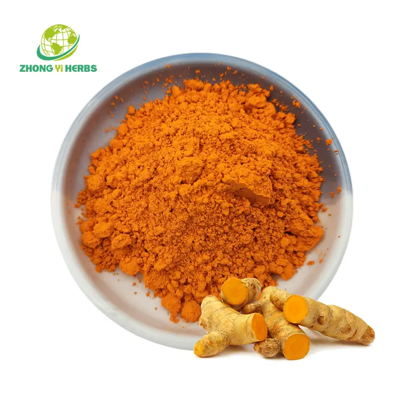 High Quality Natural Curcuma Longa Extract Curcumin Powder Organic Turmeric Powder