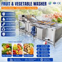Industriële bubbelwasmachine van roestvrij staal voor het reinigen van fruit, groenten en vis voor voedselverwerkingsbedrijven