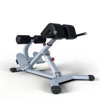 Équipement de gymnastique commerciale de haute qualité Fitness Musculation Machine d'extension arrière réglable