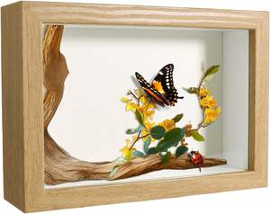 Cadres en bois 3D avec verre pour présentoirs à profondeur de 3 cm et 5 cm, formats 8x8, 8x10, 10x10, 12x12 pouces et A4 - Vente en gros - Product Image 6