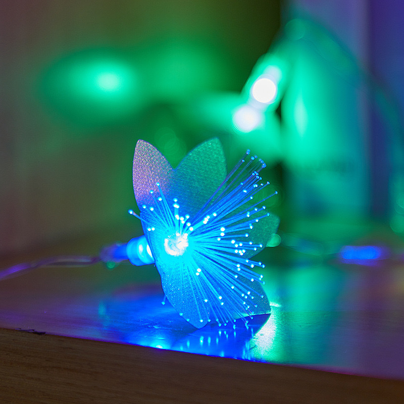 Caja de batería 10LED de una capa 2M
