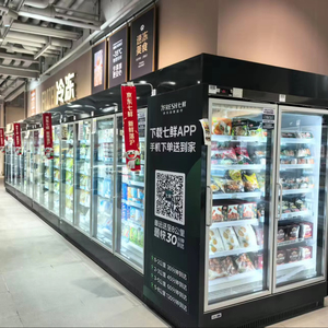 Congelatore Verticale Commerciale per Supermercati con Porta in Vetro per Gelati e Alimenti Surgelati - Product Image 1