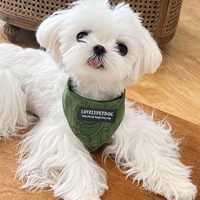 Écharpes/bavoirs triangulaires réglables pour chiens et chats, lavables, en tissu polyester durable, adaptées aux races petites/moyennes