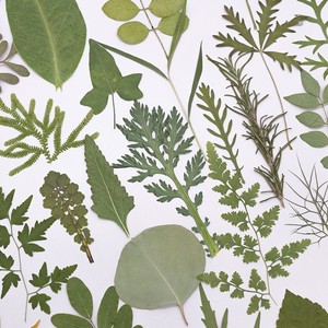 500 pièces/paquet, marque-pages et cadre photo artisanaux en fleurs pressées de type varié, aspect réaliste - Nouvel An chinois, Saint-Valentin - Product Image 1