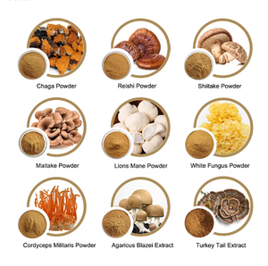 Café de <span class=keywords><strong>Hongos</strong></span> Orgánico en Polvo Instantáneo, Mezcla 5 en 1 y 12 en 1 <span class=keywords><strong>con</strong></span> Extracto de Reishi, Chaga, Melena de León y Cordyceps, Soporte OEM - Product Image 2
