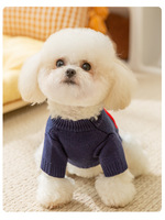 Abrigo de Invierno de Lujo para Perros y Gatos, Personalizado, Elegante, de Poliéster, para Cachorros de Chihuahua