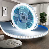 Bande lumineuse LED USB en PVC Tsinye, flexible, SMD2835, haute luminosité, indice de protection IP44, pour la décoration de la chambre, de la cuisine, des fêtes