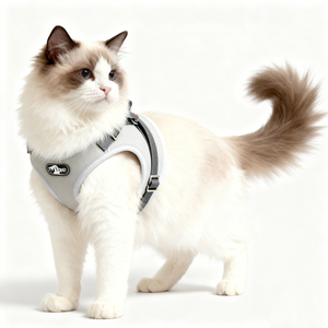 <span class=keywords><strong>Harnais</strong></span> en cuir <span class=keywords><strong>pour</strong></span> chat avec caractéristiques de confort, vêtements de luxe <span class=keywords><strong>pour</strong></span> animaux de compagnie <span class=keywords><strong>pour</strong></span> la promenade en extérieur, <span class=keywords><strong>harnais</strong></span> <span class=keywords><strong>pour</strong></span> <span class=keywords><strong>petit</strong></span> <span class=keywords><strong>chien</strong></span>, vêtements élégants <span class=keywords><strong>pour</strong></span> animaux de compagnie - Product Image 1