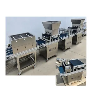 Needle Suction Seeding Line Chinese manufacturer Seed sprouting tray seeder seeding machine for sale Electric rice planting tool