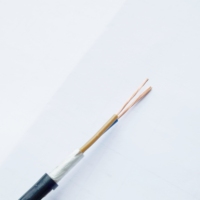 Cables con Aislamiento y Revestimiento de PVC de 2*0.75mm2~5*2.5mm2 con Conductor de Cobre Suave, Cable RVV