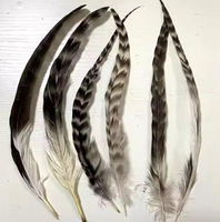 Plumes de coq chinchilla grises pour selle, plumes de coque pour décoration et costumes de danse