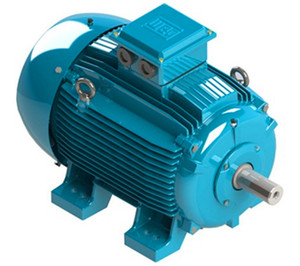 Motor Asíncrono Trifásico Estándar WEG W20, RPM 315kW, 50/60Hz, 380V CA, Eficiencia IE3, Protección IP55, Refrigeración TEFC, Fundición W20 C - Product Image 1