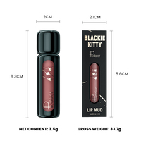 Échantillon gratuit Boue à lèvres personnalisée 10 couleurs velours mat longue durée imperméable OEM/ODM Rouge à lèvres liquide bio longue durée Nude