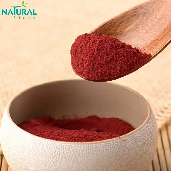 Factory Supply Cranberry Anthocyanins 10% Cranberry Extract Organic Cranberry Extract Powder