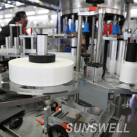 Machine d'embouteillage de boissons gazeuses aromatisées aux fruits pour bouteilles en verre