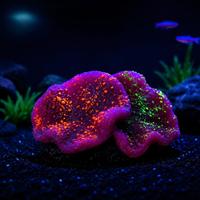 Décoration d'aquarium PKY, pieuvre artificielle fluorescente, décoration de réservoir de poissons, pieuvre en silicone avec ventouse, accessoires