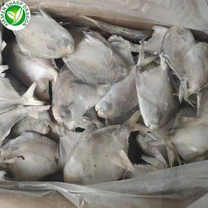 Mùa mới 100 120 hải sản đông lạnh pomfret Trắng - Product Image 3