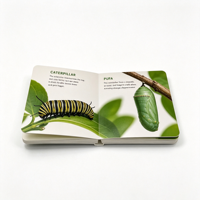 Livre cartonné personnalisable, économique et écologique, avec papier d'art et impression offset sur carton, reliure parfaite