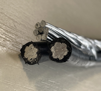 Cable de Servicio Triplex con Aislamiento de PE/XLPE y Conductor de Aluminio de 600/1000V # 6 AWG
