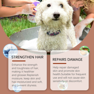 Shampoo anti-démangeaisons pour chien YEGBONG |   Apaise les démangeaisons cutanées, réduit la perte de poils - Formule à l'huile de coco et à l'aloe vera pour chiens - 100ML Pet Groo - Product Image 3