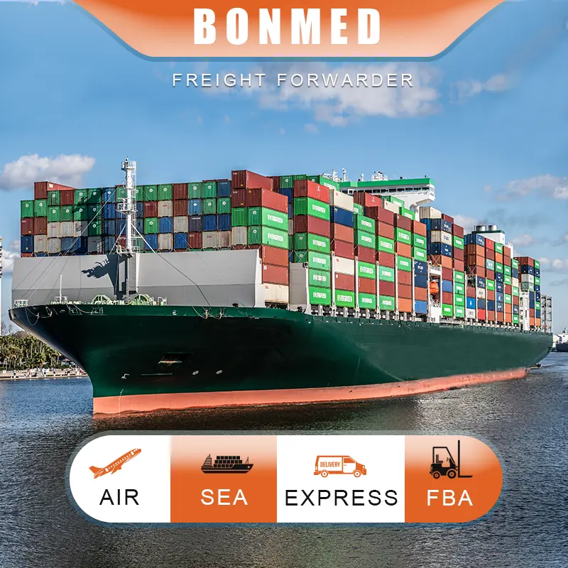 Agent maritime de Shenzhen à Miami Fret maritime logistique express international porte à porte