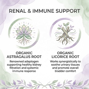 Venta al por mayor OEM: Masticables blandos para <span class=keywords><strong>el</strong></span> tracto urinario de mascotas con arándano y D-Manosa para perros y gatos, soporte para la vejiga, proveedor de marca privada personalizada. - Product Image 2