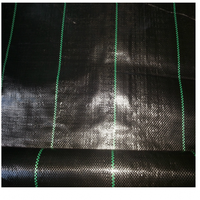 Toile de paillage agricole non tissée anti-mauvaises herbes pour vergers, couverture de sol en tissu pour jardin, anti-UV, noire, service de découpe