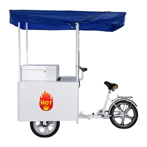 लोकप्रिय आइसक्रीम ट्राइसाइकिल 108 लीटर कूल बॉक्स के साथ लोकप्रिय आइसक्रीम ट्राइसाइकिल साइकिल