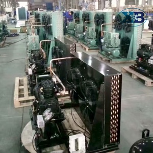 Unidad Condensadora de 20 kW y 10 HP de Alta Calidad para Cámaras Frigoríficas y de Congelación, Enfriada por Aire - Product Image 6