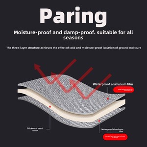 Colchoneta de camping portátil transfronteriza de 3.5mm engrosada con película de aluminio de doble cara, antideslizante y a prueba de humedad para pícnic y uso en tiendas de campaña - Product Image 2
