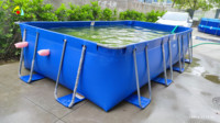 Neuankömmling Individuell bedrucktes PVC-Schwimmen über dem Boden Rahmen Pool Einfache Einrichtung für Kinder im Freien