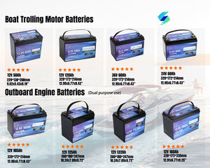 Accu Fabriek Afneembare Koud Weer Opladen Lifepo4 Batterij 12V 50ah Lood-zuur Vervanging - Product Image 3