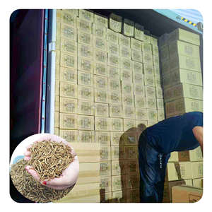 ديدان الخبز المجففة بالجملة، ديدان الوجبة الصفراء المجففة، طعام الحيوانات الأليفة، طعام الطيور، وجبات خفيفة للهامستر، طعام أسماك الزينة والسلاحف - Product Image 6