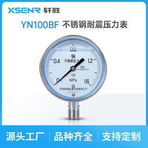 Suzhou Yn100bf Stainless Steel <b>Pressure</b> <b>Gauge</b> 160Mpa Thread Connection 100mm Diameter 1.6 Accuracy Level - Product Image 4