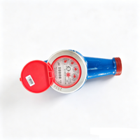 Durable Brass Casing Digital Water Meter with High Accuracy Measurement IP68 Rated DN15 Size OEM Available