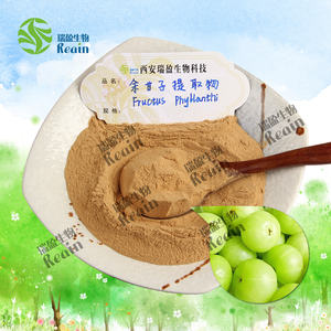 アムラフルーツエキスパウダーPhyllanfhusフルーツFructrs Phyllanthiエキス10:1 Phyllanthus Emblicaエキス - Product Image 2