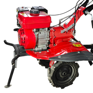 <span class=keywords><strong>Motoazada</strong></span> Mini, Motocultor de 7 HP, Maquinaria Rotativa, Ancho de Deshierbe de 1 Metro, Uso Agrícola, Diésel/Gasolina, <span class=keywords><strong>Motor</strong></span> Usado de 5 HP <span class=keywords><strong>para</strong></span> Cultivar Suelo Arcilloso - Product Image 4