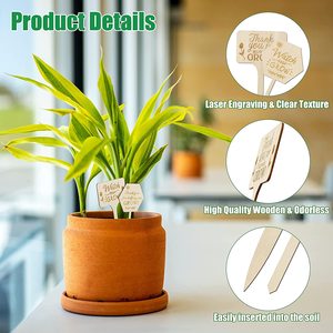 Fournitures de jardinage marqueurs de plantes signe de jardin bâton de plante graine légume giardino étiquettes de composteur outils de paysage - Product Image 4