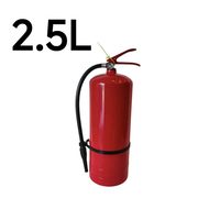 Extincteur compact 2,5 L avec raccords de tuyauterie à pulvérisation complète, base antidérapante en prune pour la prévention des incendies dans les véhicules et les petits espaces intérieurs