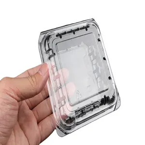 Caixa de plástico retangular transparente descartável, caixa plástica do retângulo para a caixa do pacote da bandeja do frutas